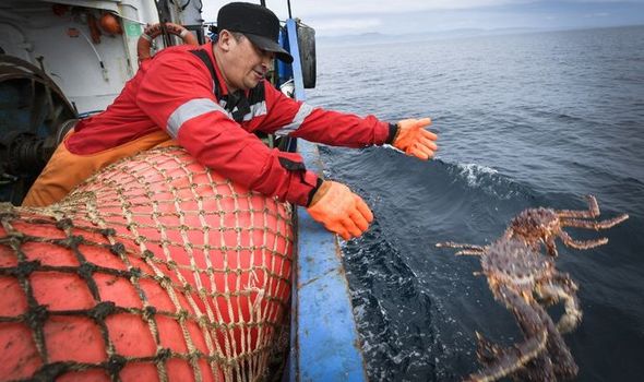 Thương mại cua hoàng đế biến động do các lệnh trừng phạt Nga 