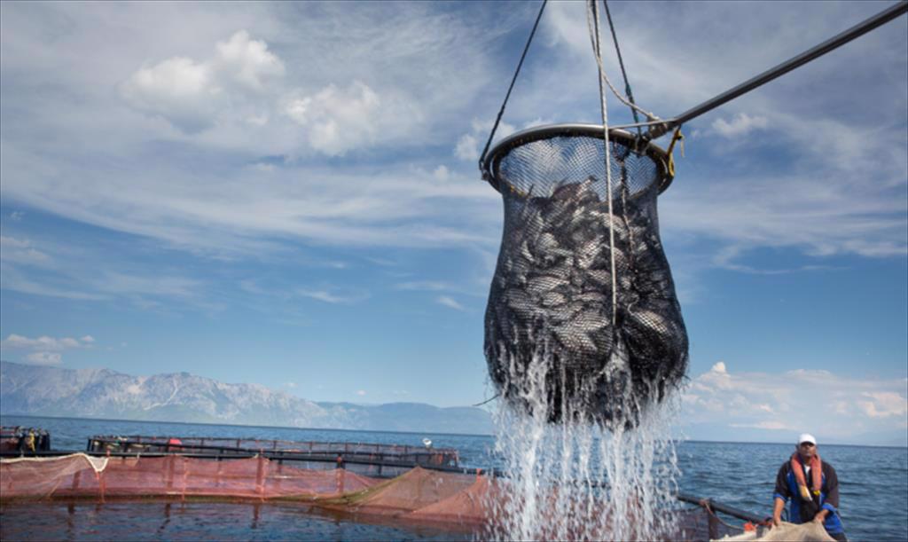 Tổng hợp tin thủy sản, tuần từ ngày 28/3-1/4/2022