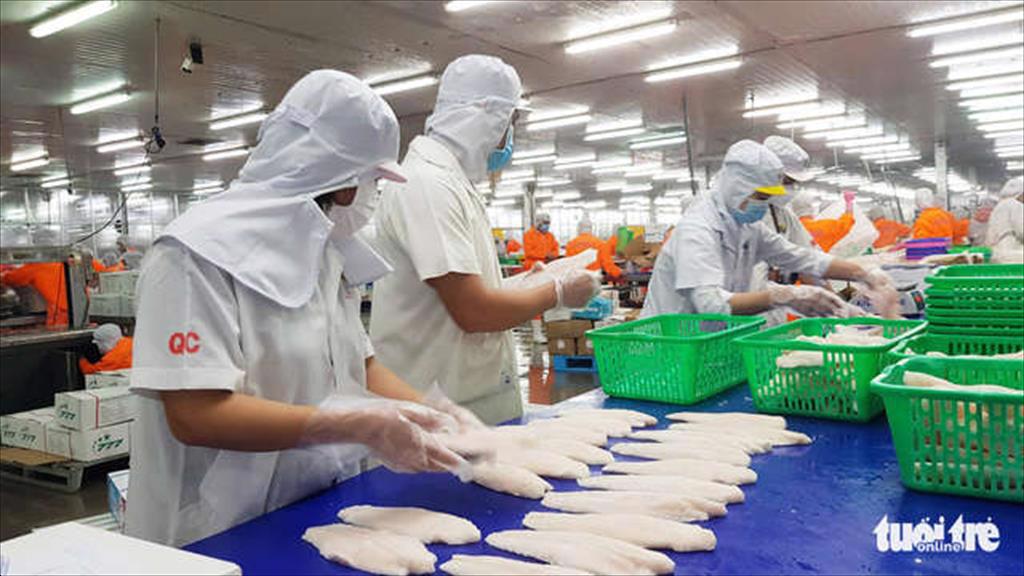 Xuất khẩu nông thủy sản gặp khó