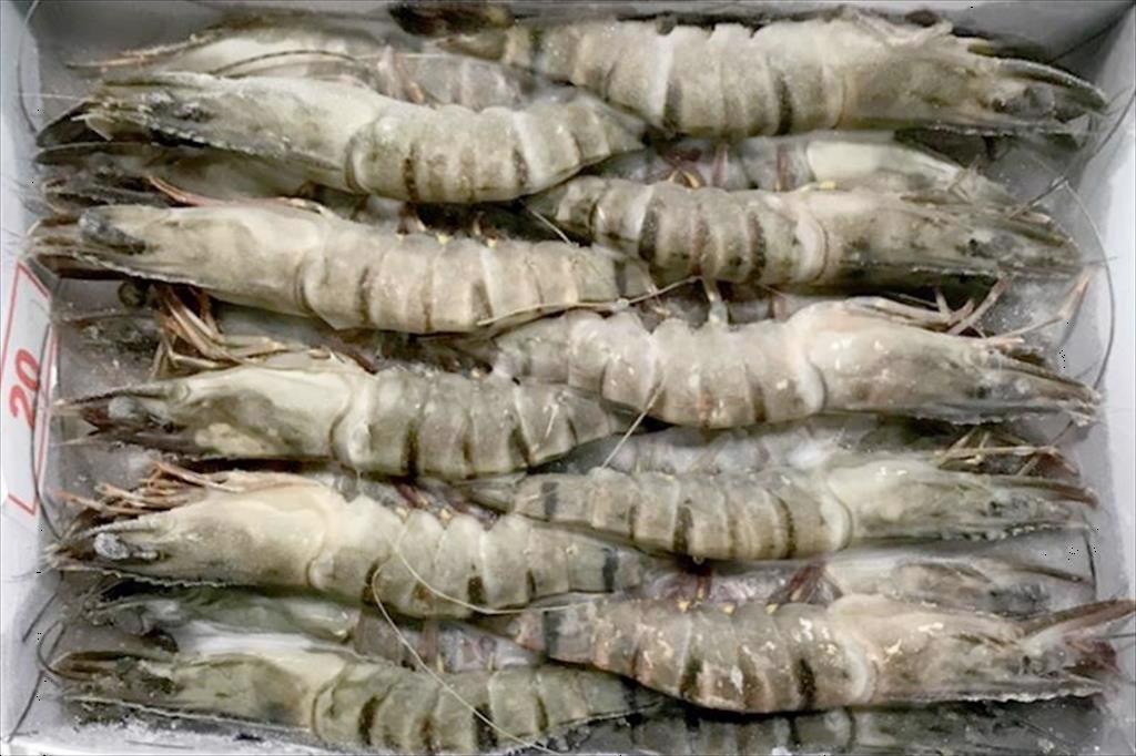 Xuất khẩu thuỷ sản sang Trung Quốc cần lưu ý gì để không bị trả lại?