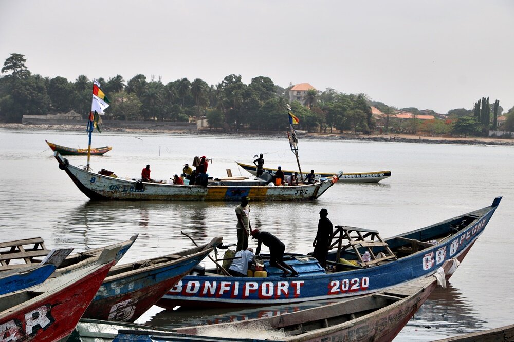 Cảnh báo bằng thẻ của EU thúc đẩy cuộc chiến chống khai thác IUU của Guinea 