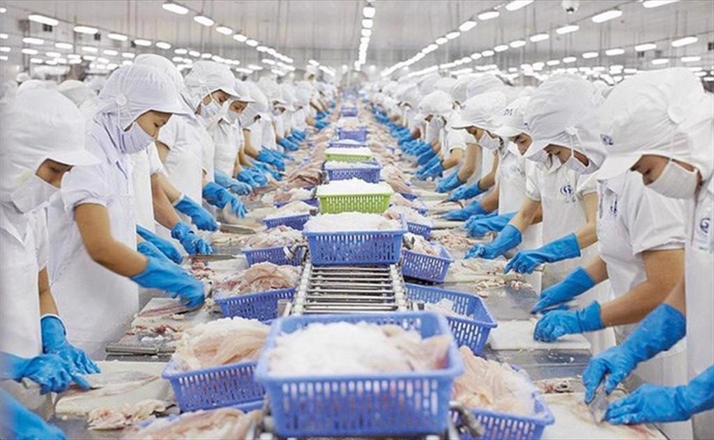 EU ban hành ngưỡng dư lượng thủy ngân mới trong thủy sản