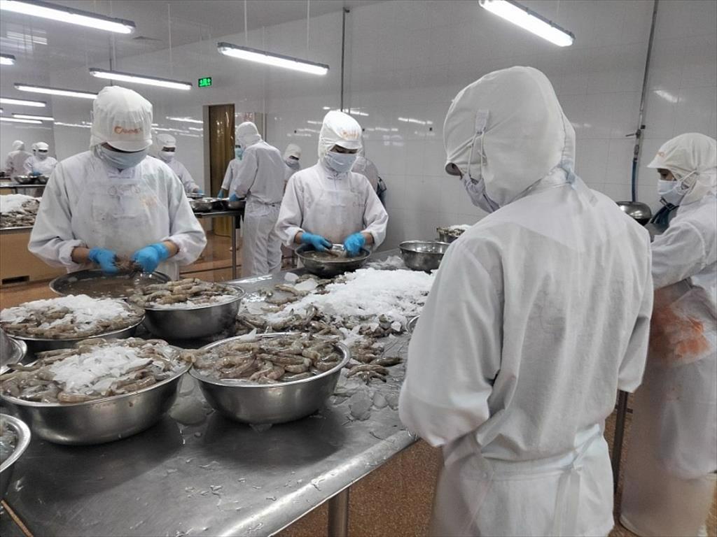 Doanh nghiệp thủy sản: Đơn hàng dồi dào nhưng lao động thiếu