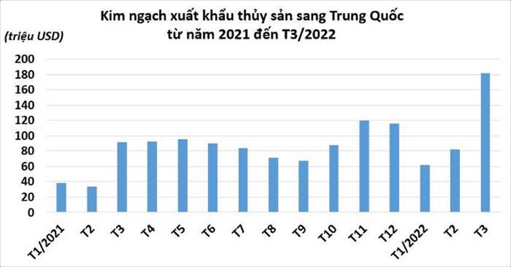 Xuất khẩu thủy sản sang Trung Quốc tăng trưởng mạnh bất chấp Zero COVID, phong tỏa nhiều thành phố lớn