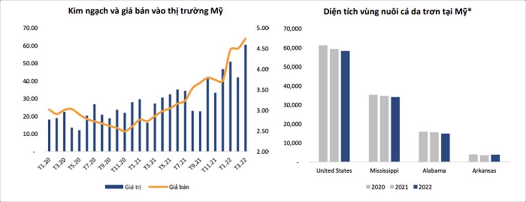 BSC: Ngành cá tra năm 2022 hứa hẹn bùng nổ sau thời gian dài ở đáy, triển vọng sáng cho cổ phiếu "nữ hoàng" và một "tay chơi" mới