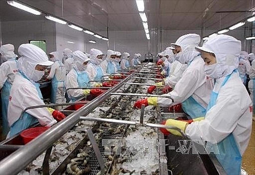 Ca Mau seafood exports are undergoing transformation in the post-COVID-19 era