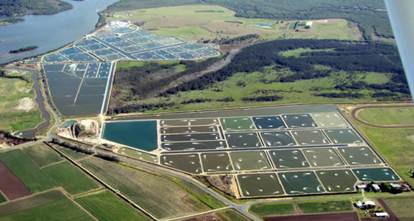 Giá tôm nguyên liệu tại một số nước cung cấp (tháng 1-tháng 4/2022) 