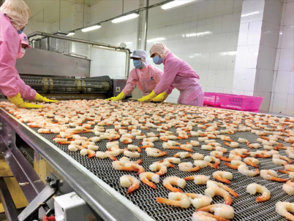 Infographic: Xuất khẩu tôm Việt Nam quý 1/2022 