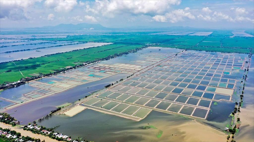 NAVICO chuẩn bị vận hành thử nhà máy sản xuất collagen và gelatin