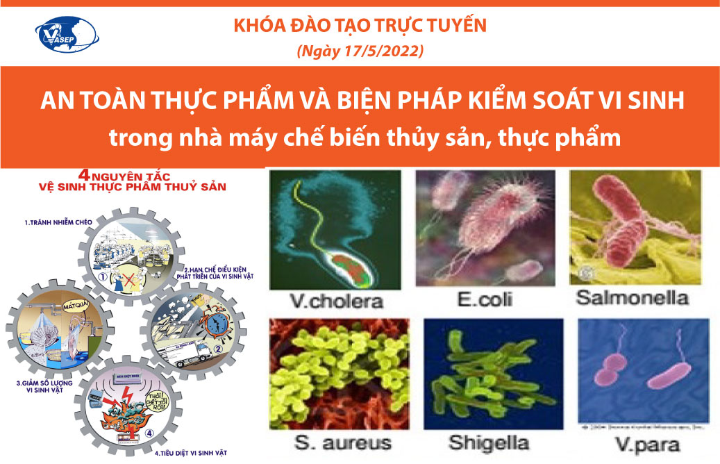 Mời tham dự Khóa đào tạo K.5.22: An toàn thực phẩm và biện pháp kiểm soát vi sinh trong nhà máy chế biến thủy sản, thực phẩm