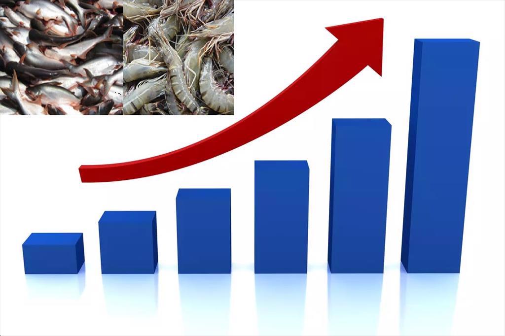 Trung Quốc và Mỹ tiếp tục là trọng lực chính cho xuất khẩu thuỷ sản quý II/2022