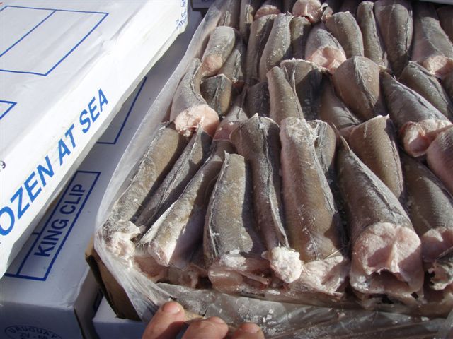 Giá xuất khẩu cá tuyết hake Argentina chạm mức cao 4 năm 