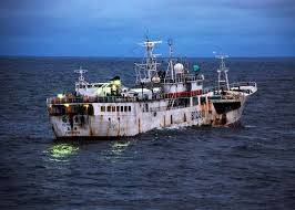 Lợi nhuận từ đánh bắt bất hợp pháp vẫn có thể chảy vào EU