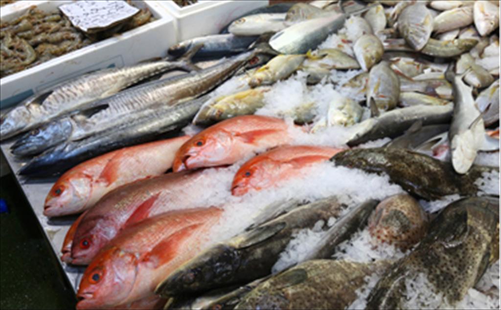 Anh dành gói hỗ trợ 1 triệu bảng để xúc tiến xuất khẩu thủy sản 