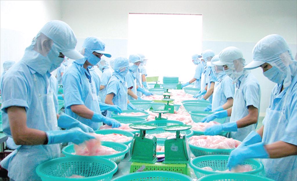 CL-FISH CORP: Focusing on pangasius farming and investing in aquatic feed processing plant in 2022