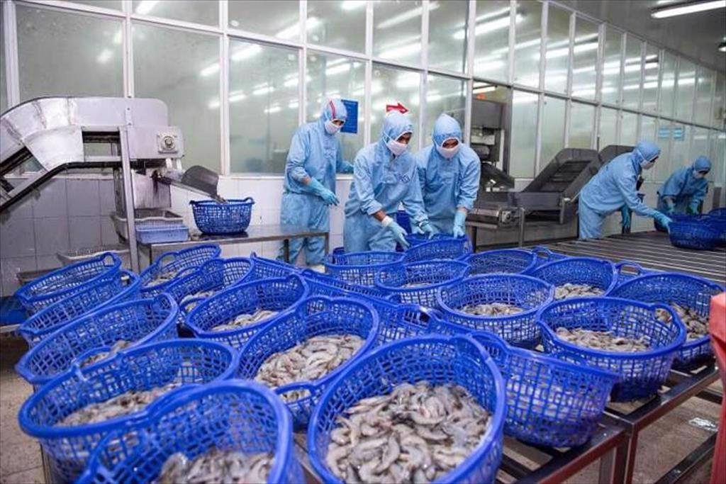 FIMEX VN sales reached VND 435 billion in April, shrimp consumption is forecasted to increase sharply in May
