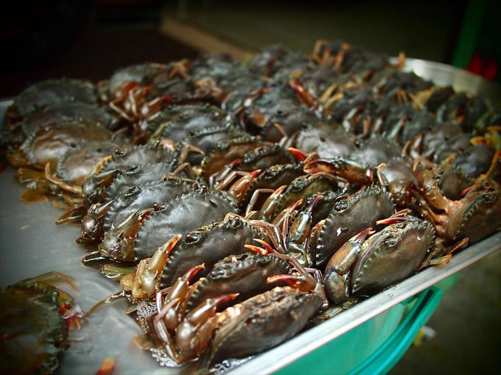 Vietnam crab exports to the US increased by nearly 80% in the first quarter of this year