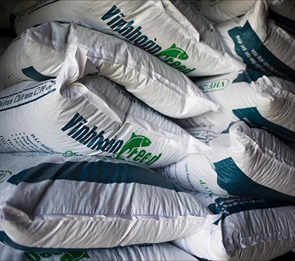 What does Vinh Hoan expect from his return to the aquatic feed segment?