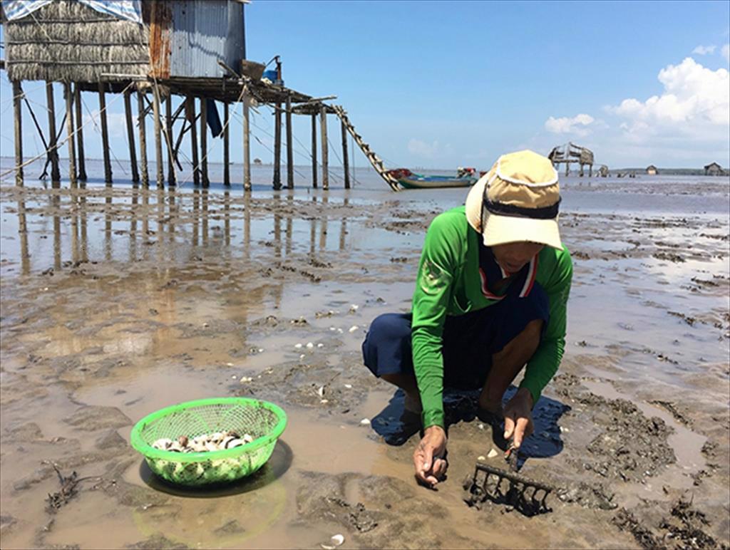 Bộ Nông nghiệp đề xuất cơ chế hỗ trợ khôi phục sản xuất vùng bị thiên tai, dịch bệnh