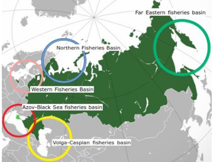 Nga khai thác được 1,78 triệu tấn cá tính tới 12/5/2022 