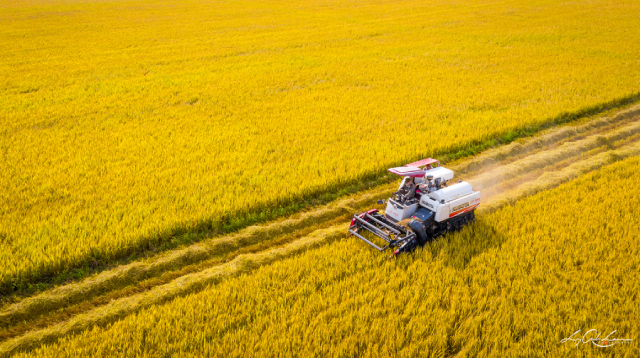 Nông sản miền Tây gánh chi phí logistics