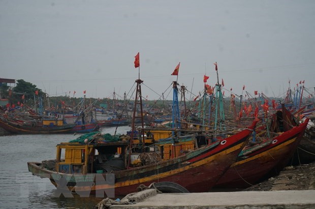 Trà Vinh: Nhiều tàu cá nằm bờ vì giá nhiên liệu tăng cao