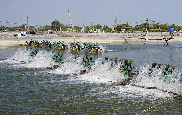 Chuyện nhỏ mà không nhỏ 