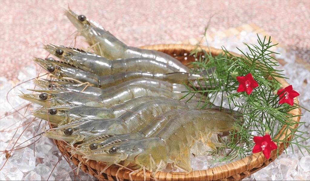 MINH PHU SEAFOOD CORP: The goal is to win 25% of the world shrimp market share by 2045