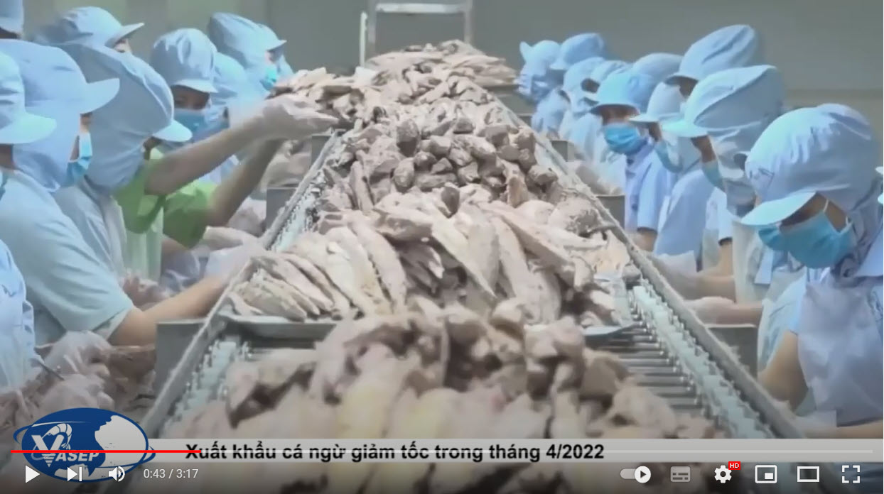 Infographic: Xuất khẩu cá ngừ Việt Nam 4 tháng đầu năm 2022