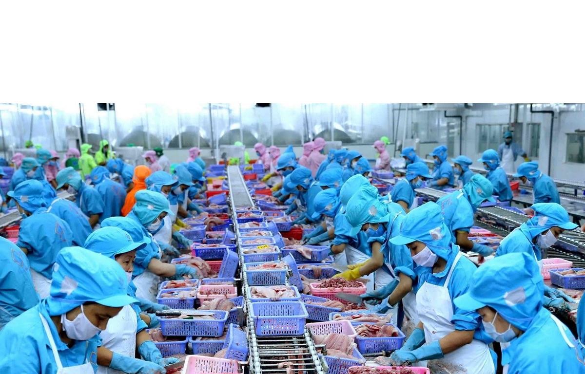 Vietnam seafood exports in May 2022 reached 1 billion USD