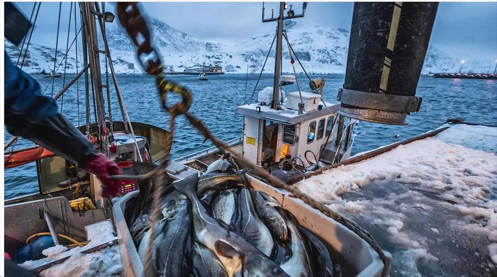 Chiến sự ở Ukraine ảnh hưởng như thế nào đến thương mại quốc tế và các nền kinh tế mới nổi