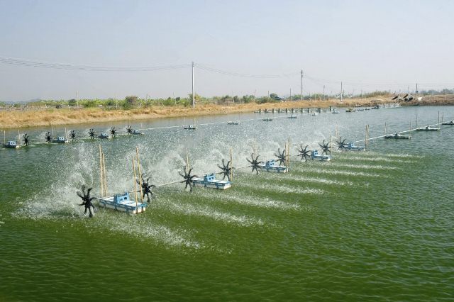 Cục diện chiến trường 