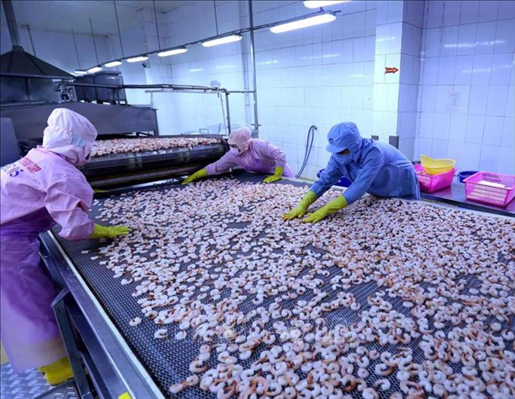 Hậu Giang: Doanh nghiệp vẫn đang “khát” lao động