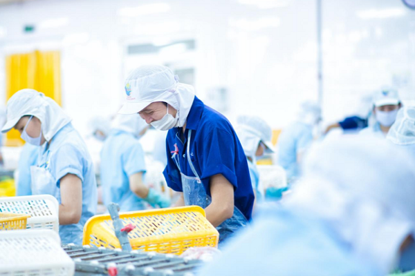 NAVICO: Năm 2022 là năm được mùa, được giá cho cá tra