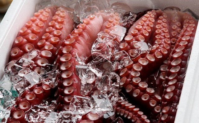 Giá bạch tuộc tại châu Âu tăng do nhu cầu cao 