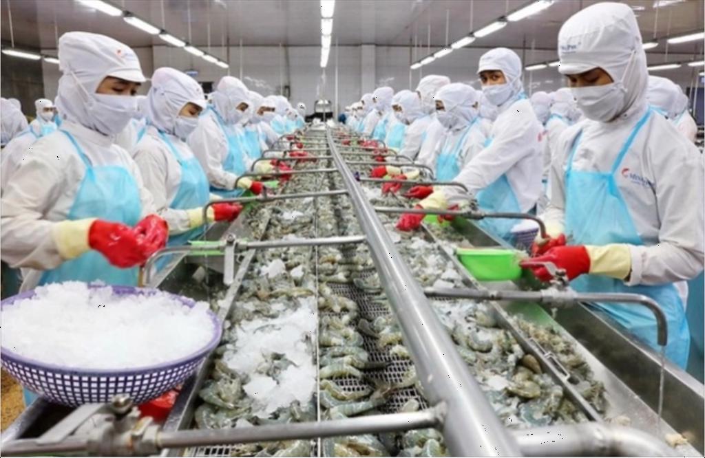 FIMEX VN sales increased by 31% in 5 months of 2022