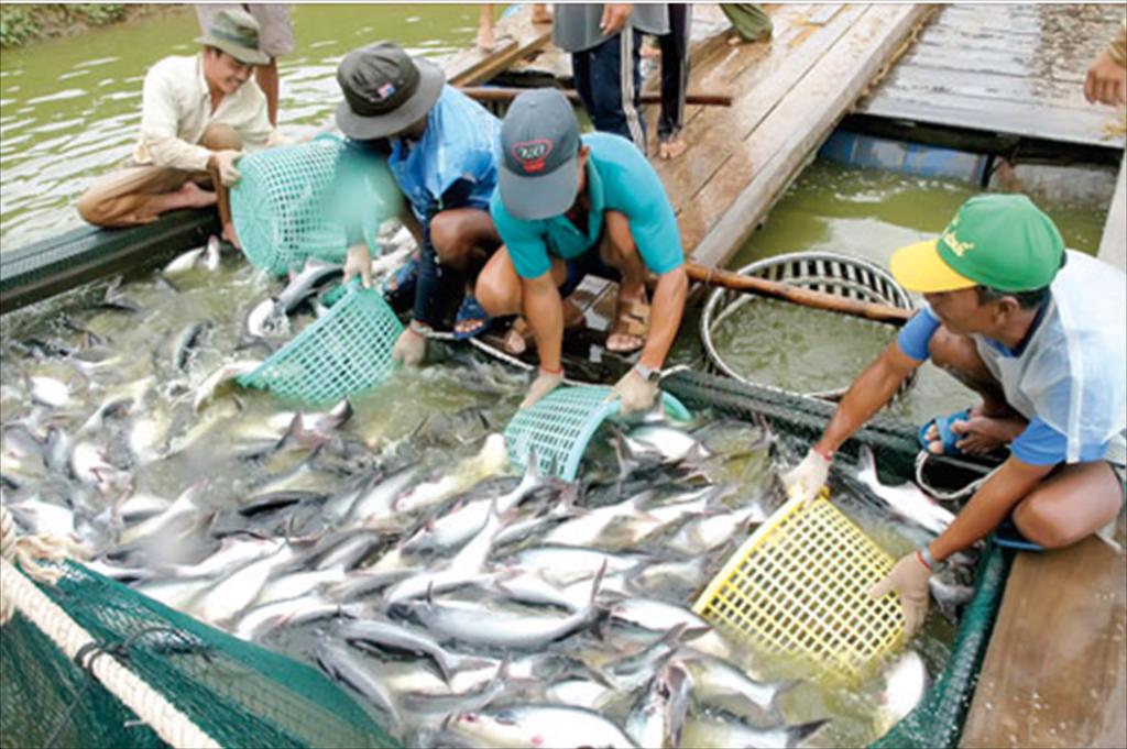 AGIFISH aims at profitability within 2022