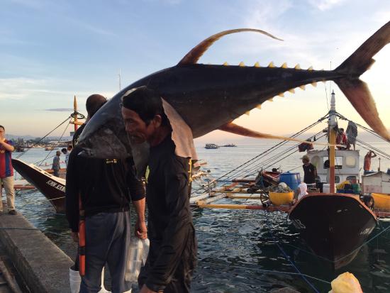 Ngành cá ngừ Philippines lao đao vì giá dầu diesel tăng cao