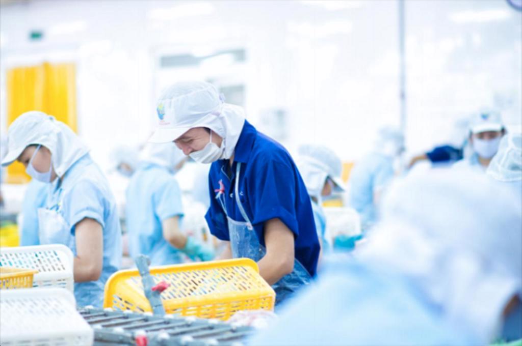 Thời hoàng kim đã trở lại với đại gia thuỷ sản Navico Doãn Tới?