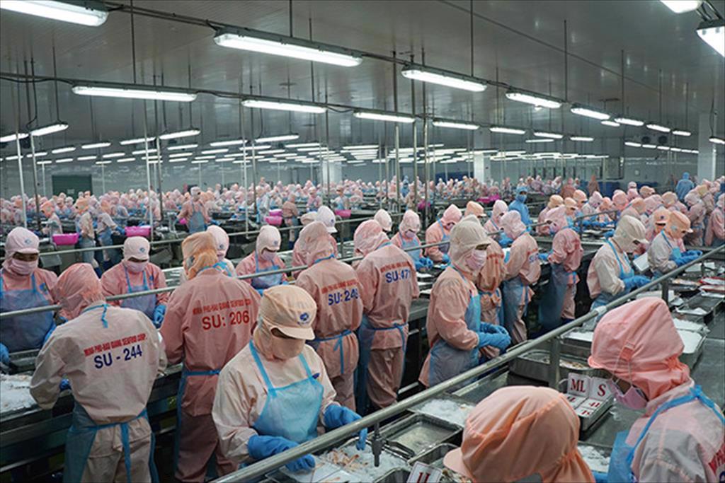 Thủy sản Minh Phú lên kế hoạch thưởng cổ phiếu tỷ lệ 100%