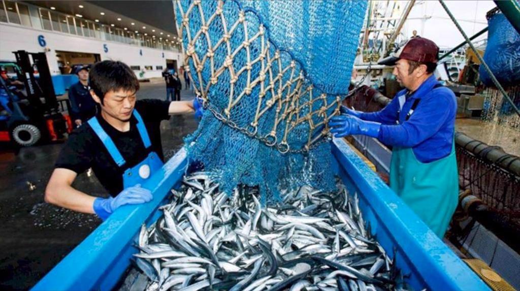 Nhật Bản: Giá thuỷ sản liên tục tăng do nguồn cung thấp