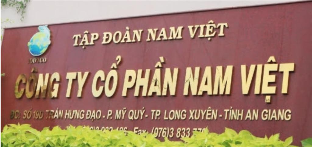 ANV’s profit is expected to be six times higher in 2022