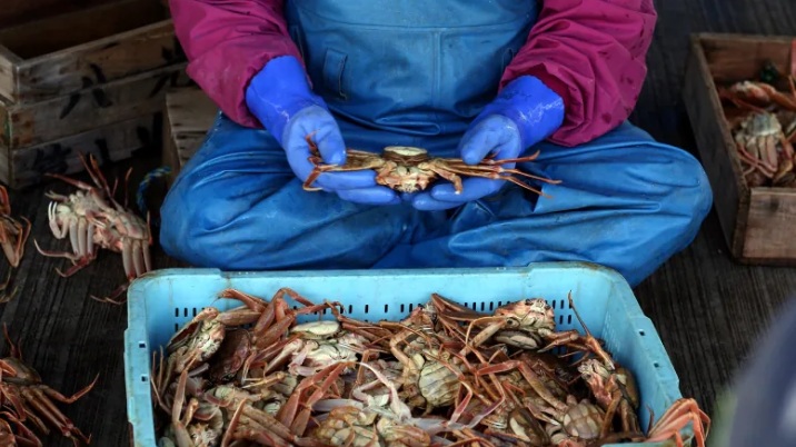 Nhu cầu cua tuyết Canada tại Mỹ giảm trong năm nay 