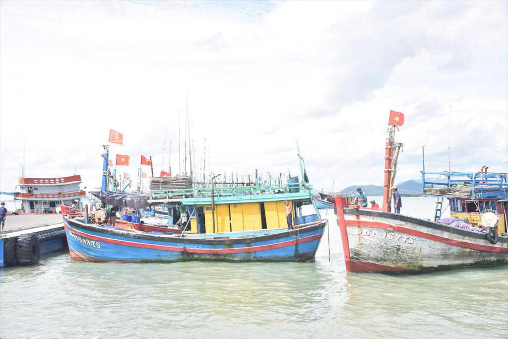 Bình Định: Nhiều khó khăn tồn đọng trong quản lý, giám sát tàu cá hoạt động