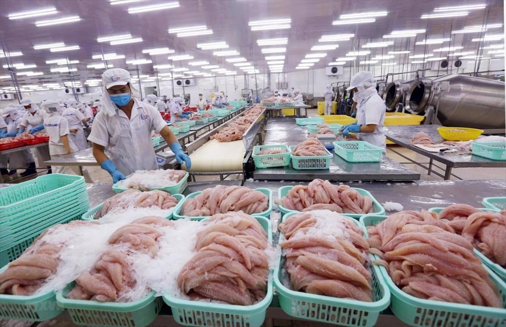 Vietnam pangasius export to  US break the record