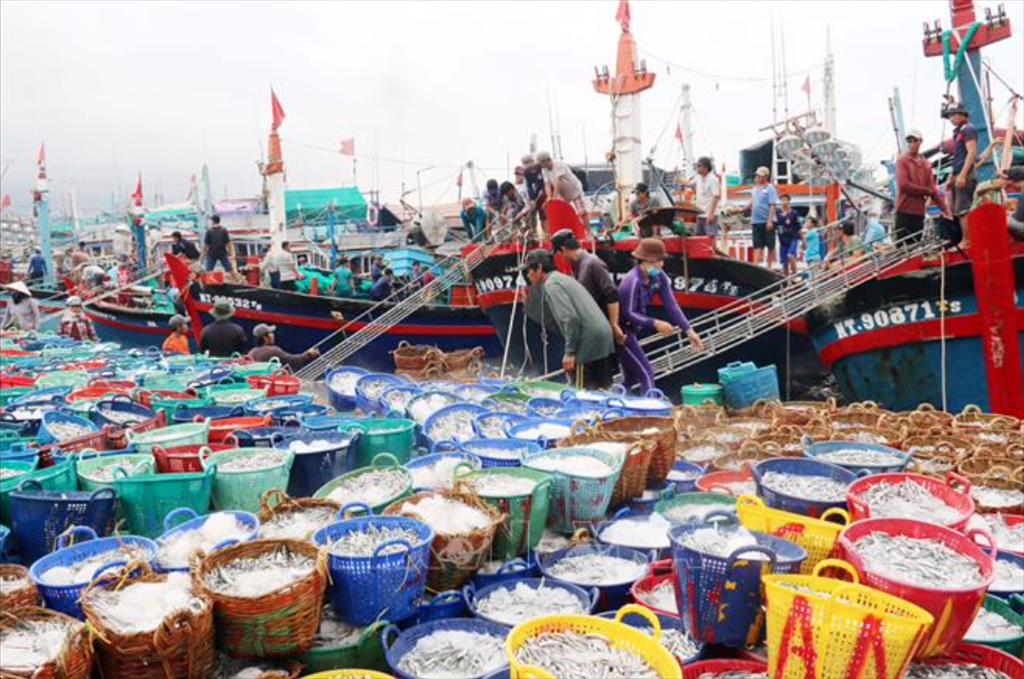 Vietnam’s total marine product exports reached nearly 1,7 billion USD in the first five months