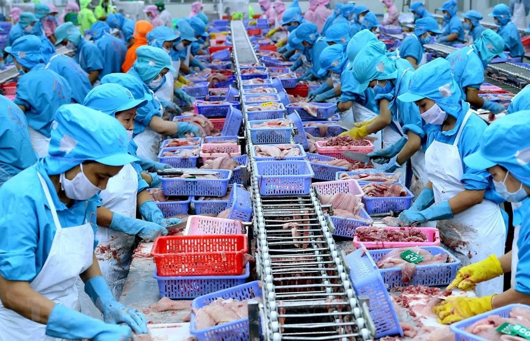 Infographic: Xuất khẩu thủy sản Việt Nam 5 tháng đầu năm 2022 