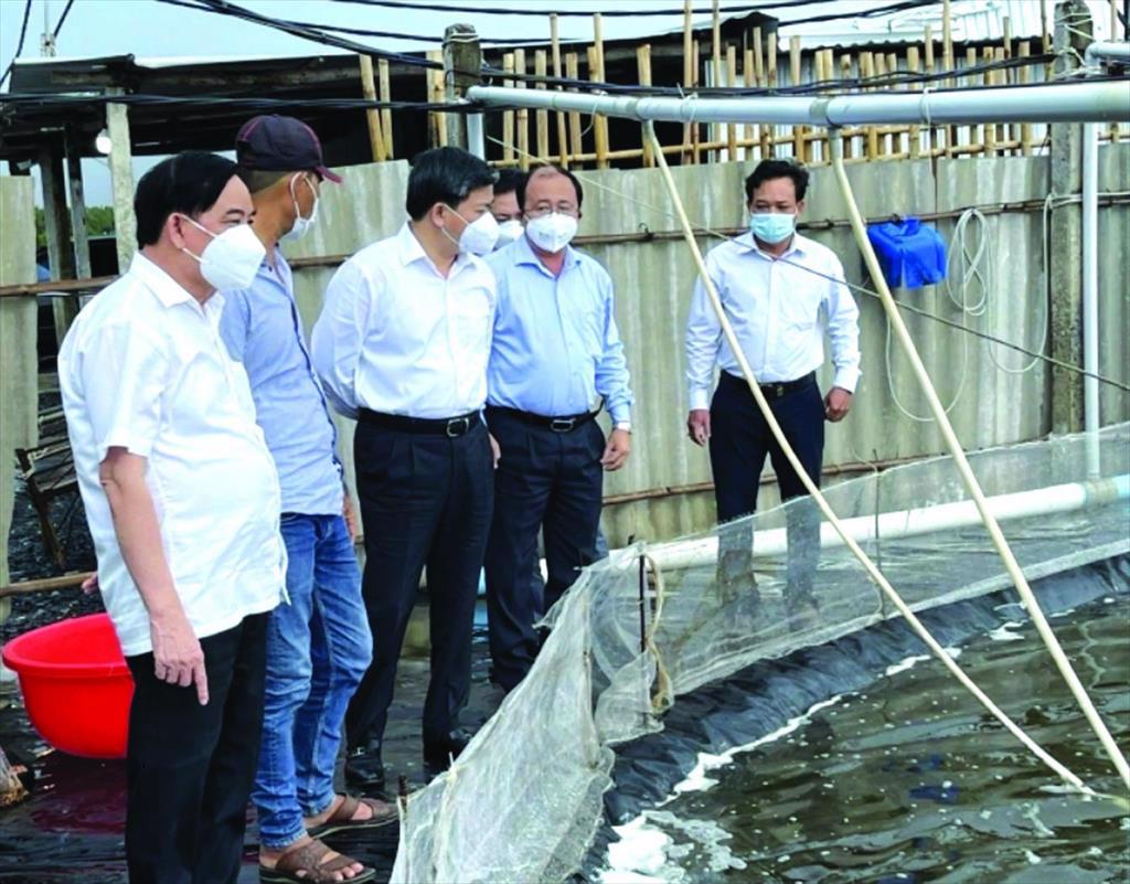 Ben Tre is effectively exploiting fishery economy