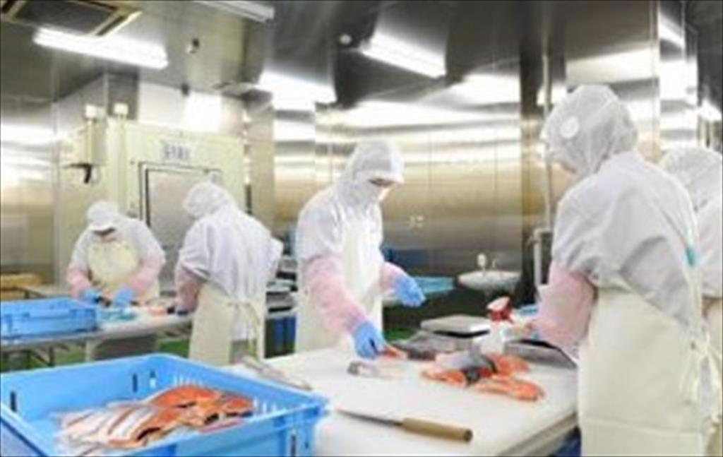 Anh dỡ bỏ các hạn chế đối với thủy sản ở Fukushima