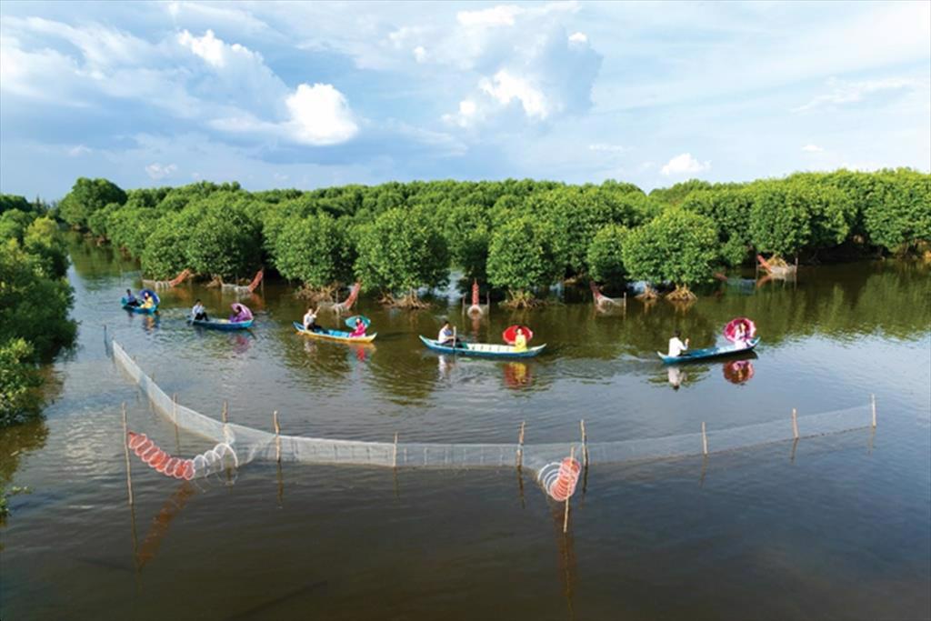 ĐBSCL: Người nuôi tôm phấn khởi vì giá duy trì mức cao